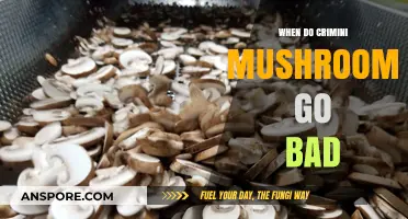How to Tell When Crimini Mushrooms Go Bad: A Guide