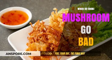 How to Tell When Enoki Mushrooms Spoil: A Quick Guide