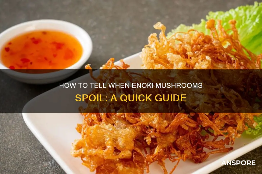 when do enoki mushrooms go bad