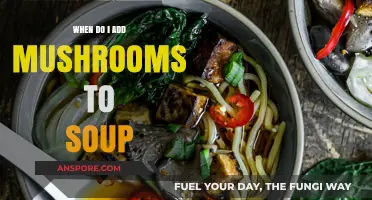 Perfect Timing: When to Add Mushrooms to Your Soup for Best Flavor