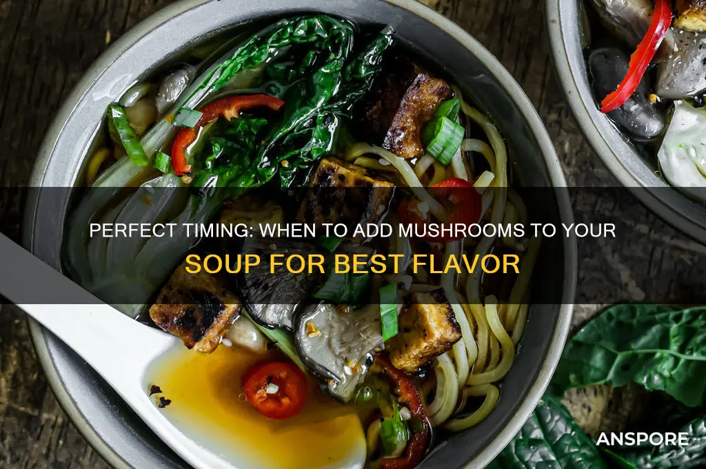 when do i add mushrooms to soup