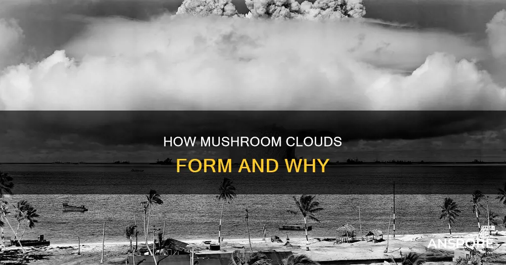 when do mushroom clouds form