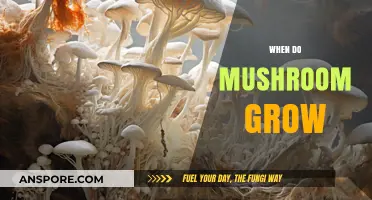 When Do Mushrooms Grow: Unveiling the Perfect Conditions for Fungal Flourishing
