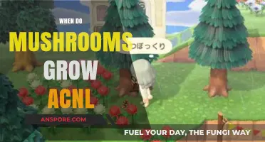 When Do Mushrooms Grow in ACNL: Seasonal Guide for Players