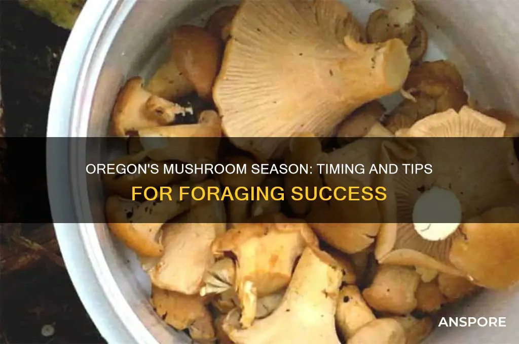 when do mushrooms grow in oregon