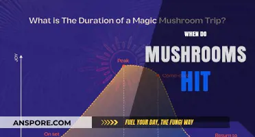 The Ultimate Mushroom Trip: Timing Your Experience