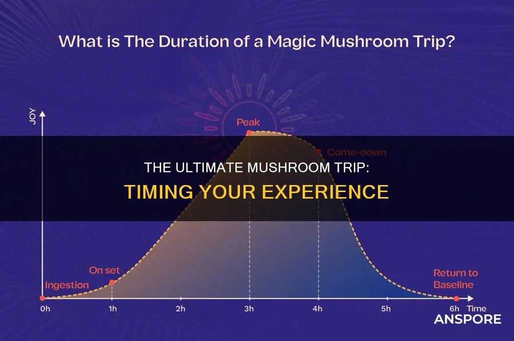 when do mushrooms hit