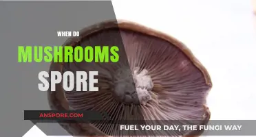 Mushroom Spore Timing: When Do They Release?