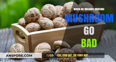 How Long Do Organic Shiitake Mushrooms Stay Fresh Before Spoiling?
