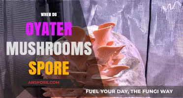 Identifying Oyster Mushroom Spore Times
