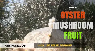 Oyster Mushrooms: Fruiting Season and Cultivation Tips