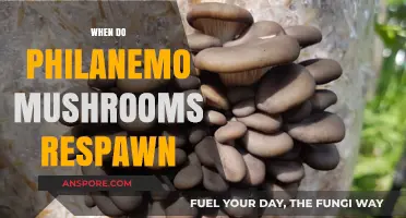 Exploring Philanemo Mushrooms: Respawn Patterns and More