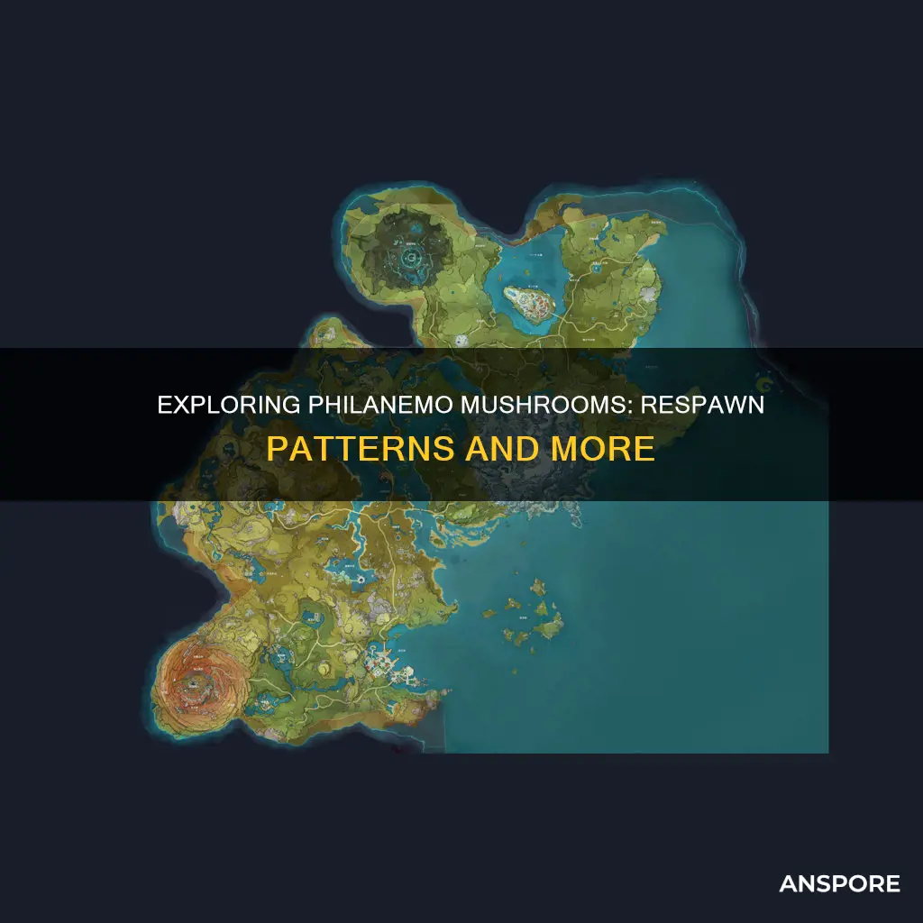when do philanemo mushrooms respawn