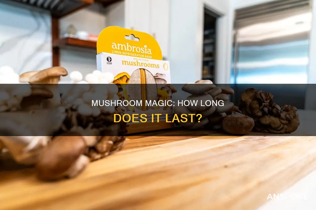 when do psilocybin mushrooms expire