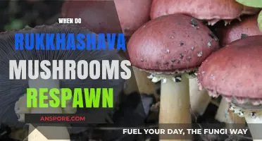 Exploring the Rukkashava Mushroom Respawn Mystery