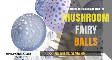Discovering the Mushroom Fairy Balls: A Magical Quest in The Magicians