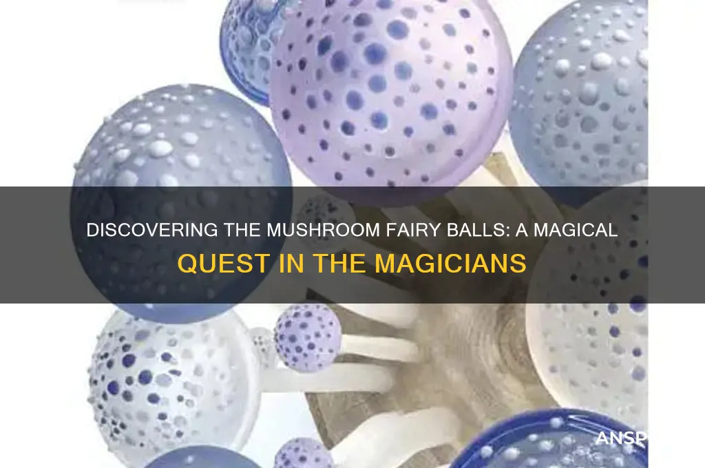 when do the magicians find the mushroom fairy balls
