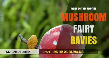 Discovering the Mushroom Fairy Babies: A Magical Timing Unveiled
