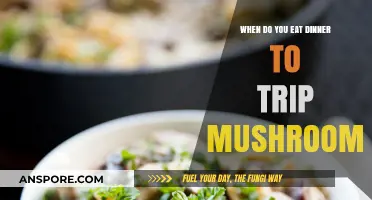 Timing Your Dinner for a Safe and Enjoyable Mushroom Trip