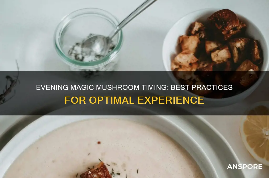 when do you eat magic mushrooms in the evening
