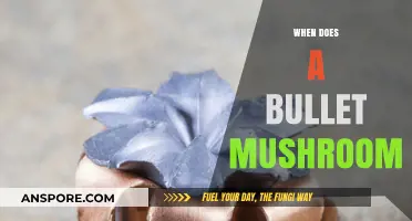 The Art of Bullet Expansion: When Does it Mushroom?