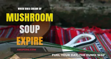 Cream of Mushroom Soup Expiration: Shelf Life and Storage Tips