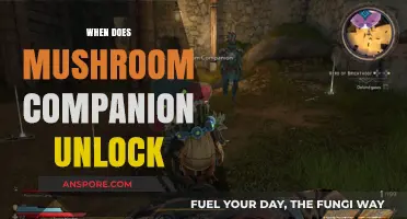 Unlocking Mushroom Companion: When and How?