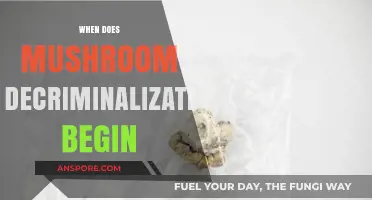Mushroom Decriminalization: When Does It Start?