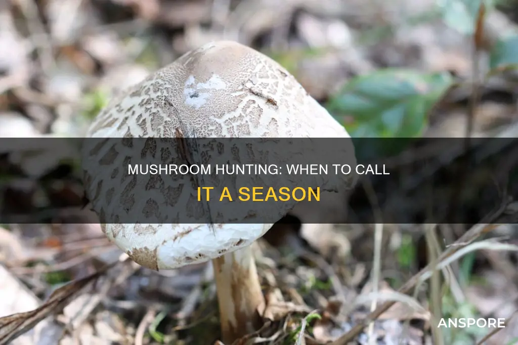 when does mushroom season end