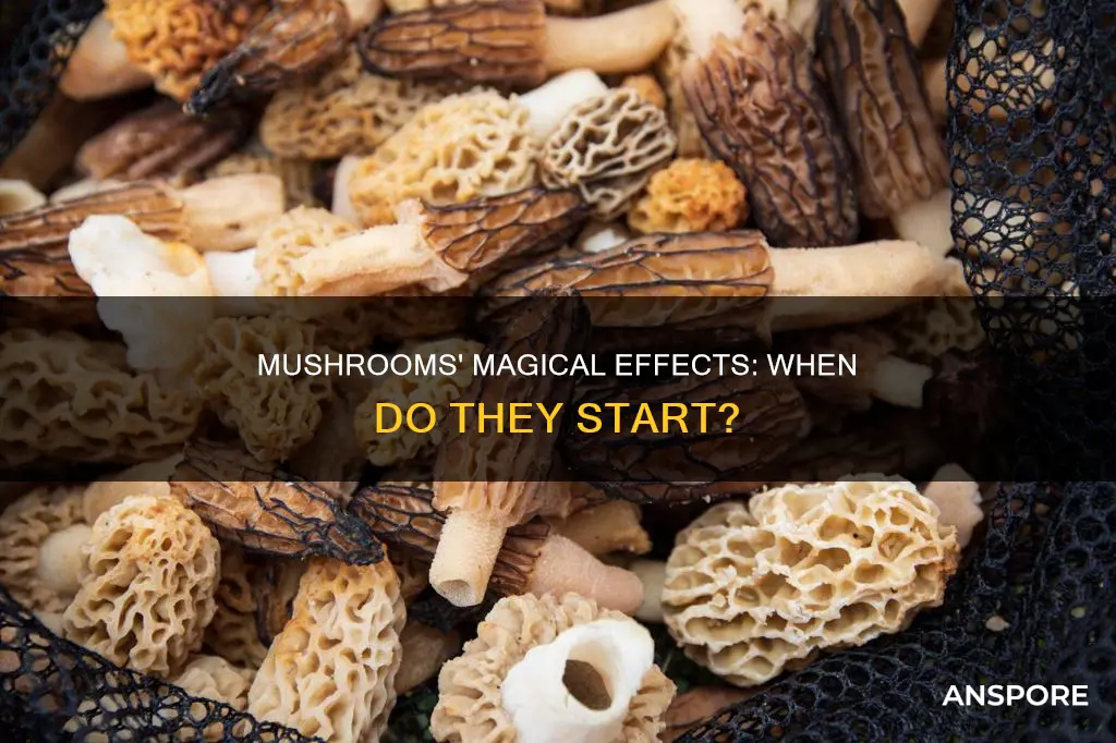 when does mushrooms kick in