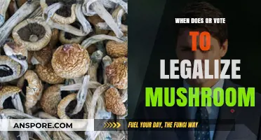 Legalizing Magic Mushrooms: When Will the Vote Finally Happen?