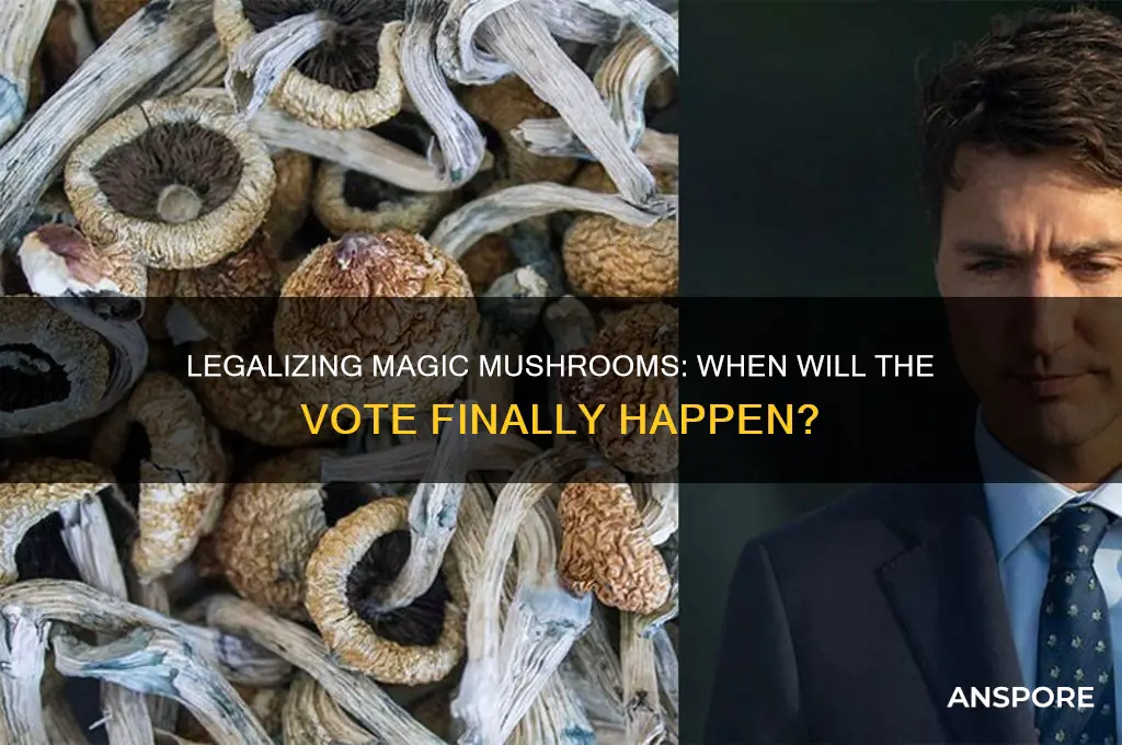 when does or vote to legalize mushrooms