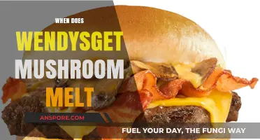 Wendy's Mushroom Melt: When Can We Expect It?