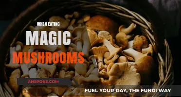 Exploring the Psychedelic Journey: When Eating Magic Mushrooms Safely