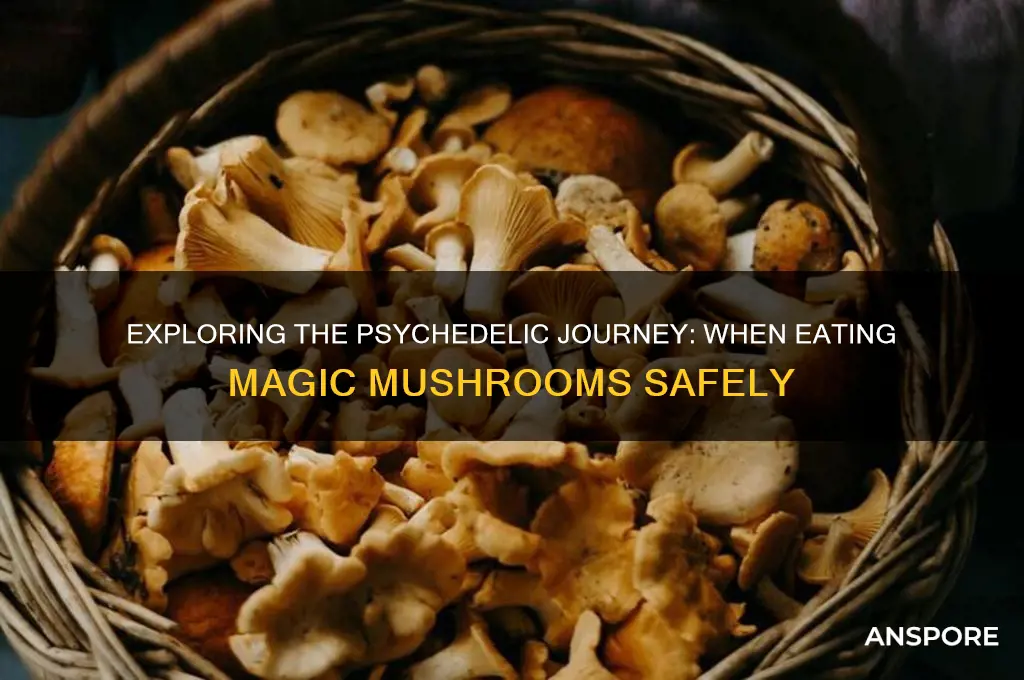 when eating magic mushrooms