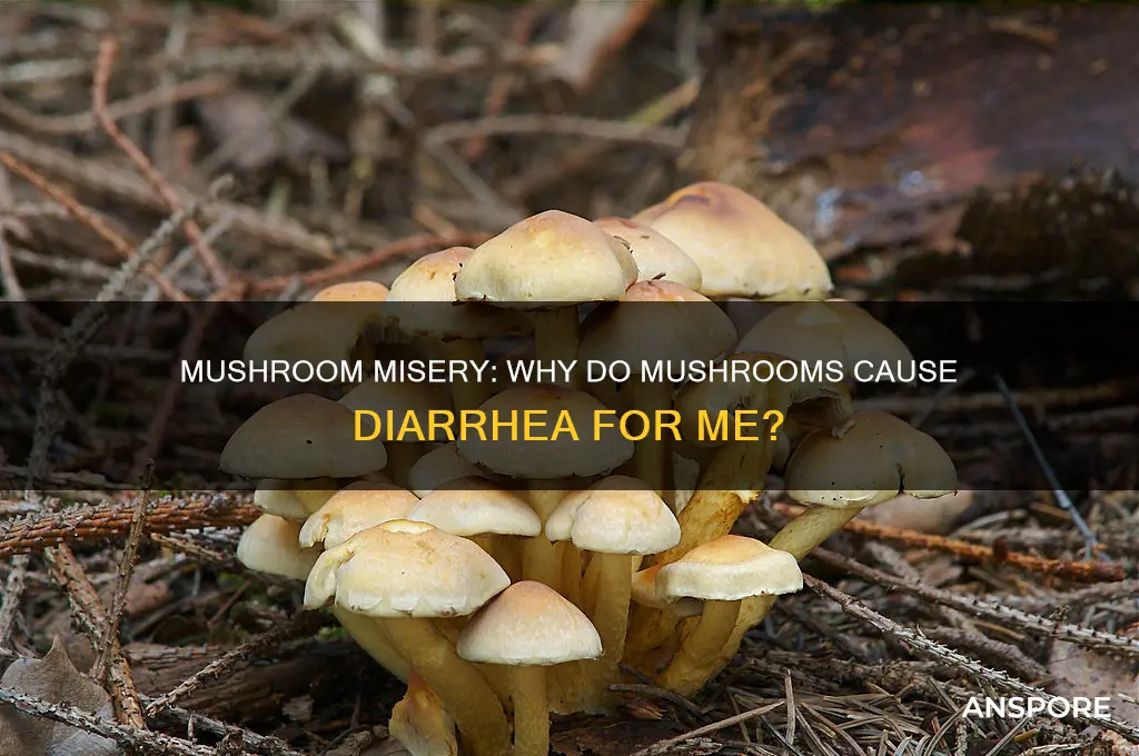 when i eat mushrooms they give me diahreea