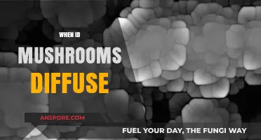 Identifying Mushrooms: Diffusion and Its Secrets