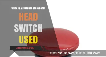 When to Use Extended Mushroom Head Switches in Industrial Applications