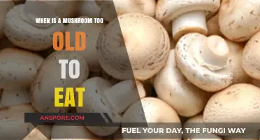 Identifying Overripe Mushrooms: When to Avoid Eating Aged Fungi