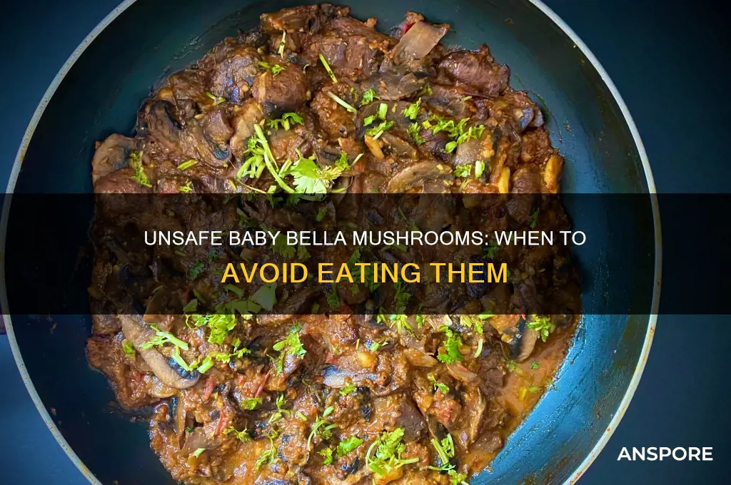 when is it unsafe to eat baby bella mushrooms