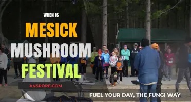 Mesick Mushroom Festival: A Weekend of Fun