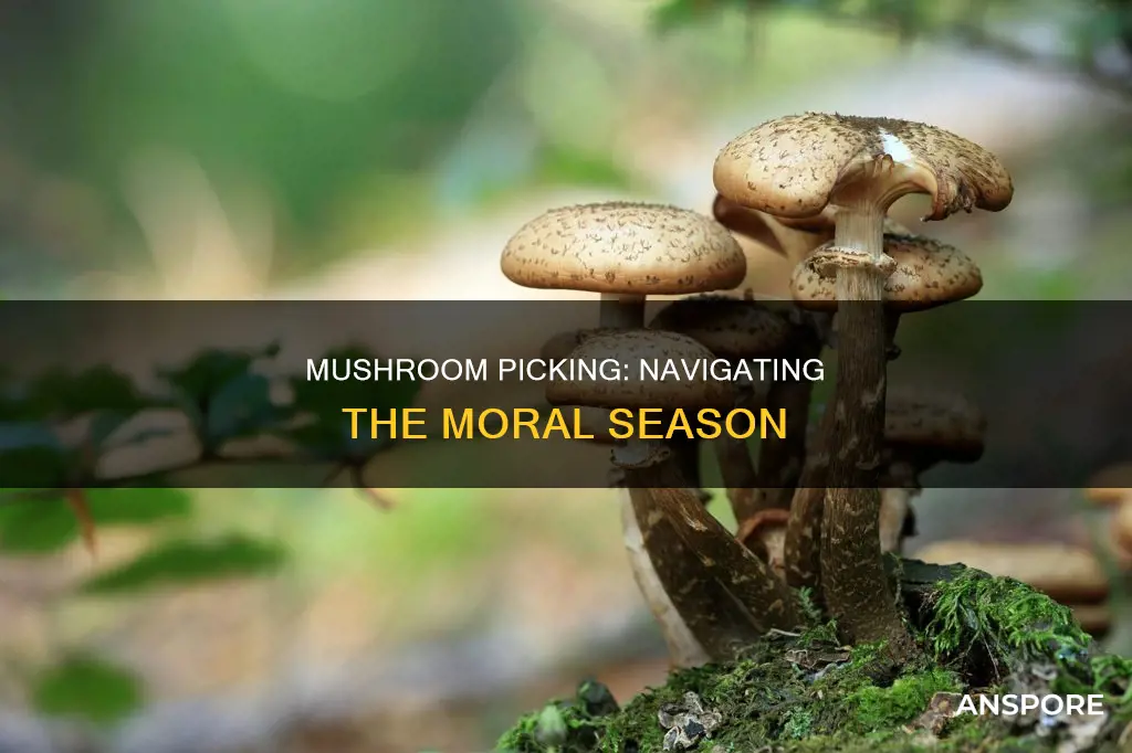 when is moral mushroom season