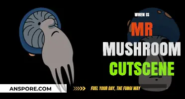 Mr. Mushroom's Cutscene: When and Why?