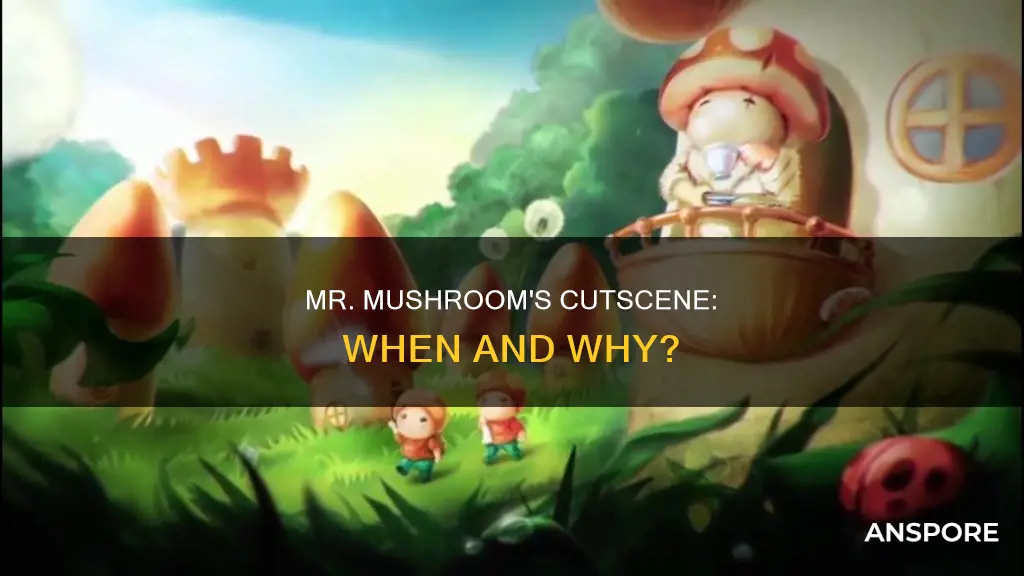 when is mr mushroom cutscene
