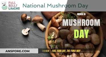 Mushroom Day: A Celebration of Fungi in August