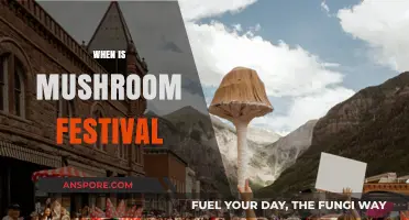 Mushroom Festival: When and Where to Celebrate