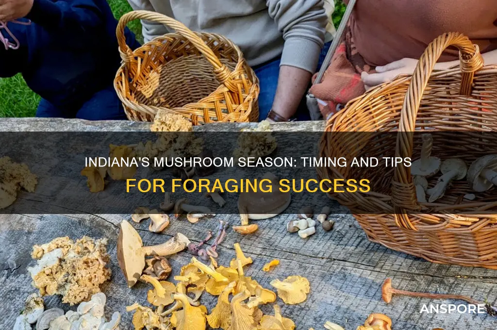 when is mushroom season in indiana