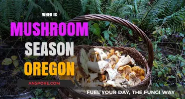 Mushroom Picking in Oregon: Best Times and Locations