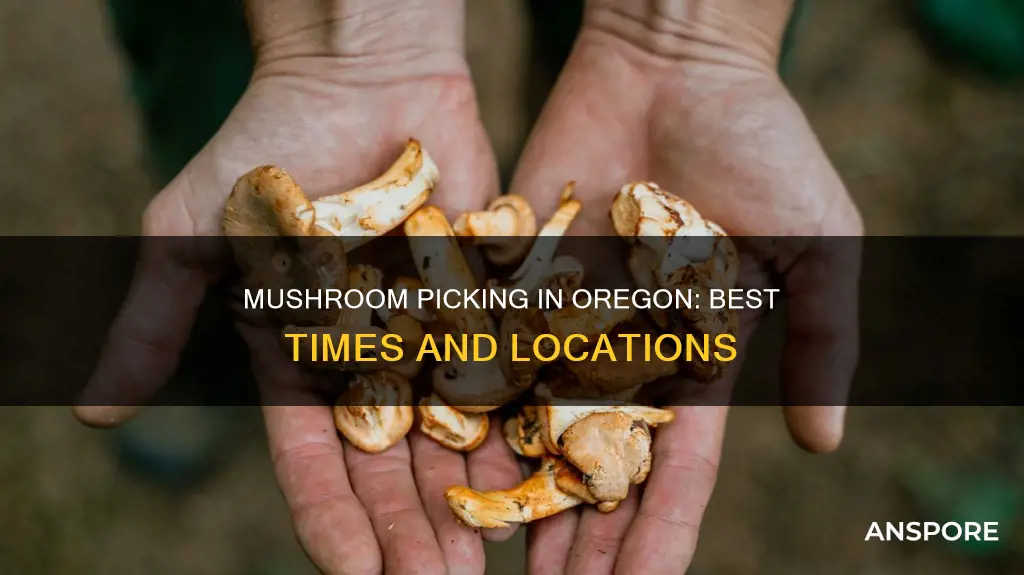 when is mushroom season oregon