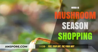 Mushroom Shopping: Best Time to Buy